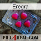 Eregra 13